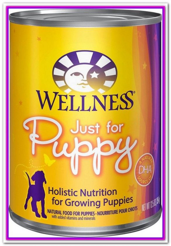 Finding the Best Wet Dog Food For Puppies