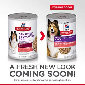 Wet Dog Food For Sensitive Stomachs
